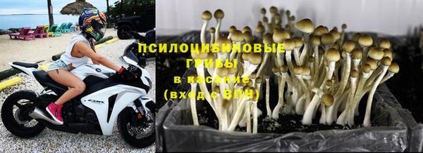 кокаин перу Бородино