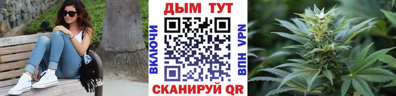Бошки марихуана Amnesia  Нюрба 